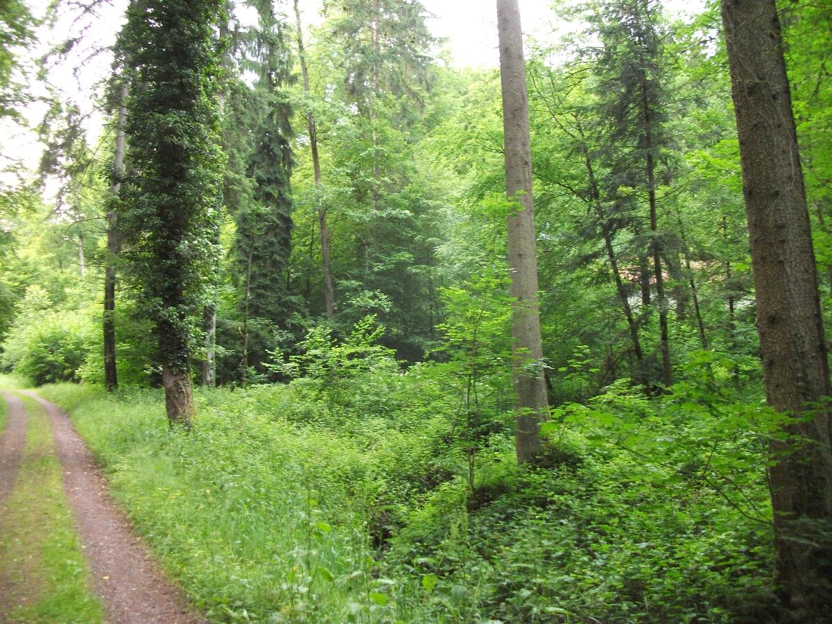 Brudertalkapelle