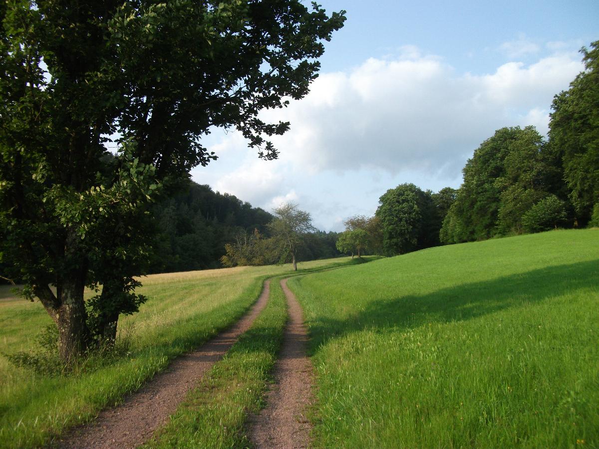 Brudertal
